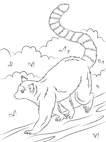 Cute Ring Tailed Lemur Coloring Page